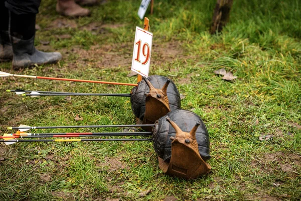 Close Two Archery Targets Arrows Fake Snail Animals Green Grass — Stock Photo, Image