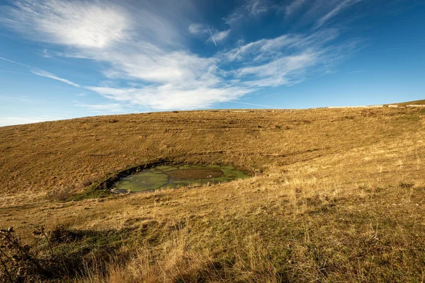 Small Lake Cows Brown Pastures Lessinia Plateau Altopiano Della Lessinia — Stock Photo, Image