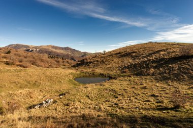 İnekler için küçük gölü olan Lessinia Platosu 'nun manzarası, Bölgesel Doğal Park, Verona Eyaleti, Veneto, İtalya, Avrupa.