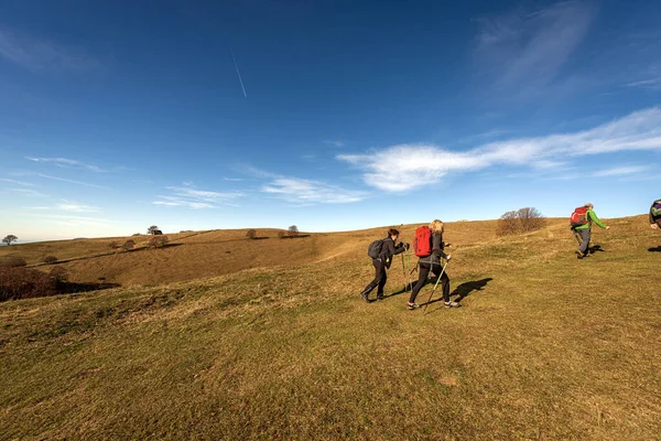 Altopiano Della Lessinia Italien Nov 2020 Liten Grupp Vuxna Vandrar — Stockfoto