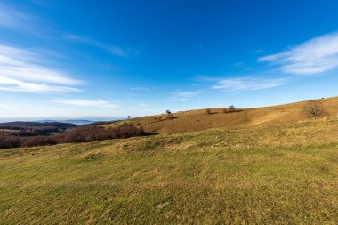 Lessinia Platosu 'nda (Altopiano della Lessinia) sonbaharda yeşil ve kahverengi çayırlar, Bölgesel Doğal Park, Verona Eyaleti, Veneto, İtalya, Avrupa.
