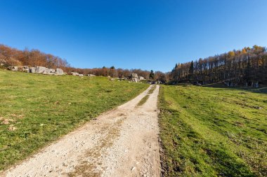 Lessinia Platosu 'ndaki Valle delle Sfingi, Karst oluşumları için Sfenks Vadisi olarak adlandırılır. Lessinia, Veneto, Verona Bölgesel Doğal Parkı, İtalya, Avrupa.
