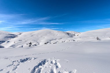 Altopiano della Lessinia (Lessinia Plateau) kış aylarında kar ve Monte Tomba (Tomb Dağı), Malga San Giorgio yakınlarındaki Bölgesel Doğal Park, Veneto, İtalya, Avrupa 'da kayak merkezi.