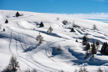 Lessinia Platosu 'nun kış manzarası. Malga San Giorgio ve Malga Gaibana yakınlarındaki Altopiano della Lessinia, Bölgesel Doğal Park, Verona Eyaleti, Veneto, İtalya, Avrupa.