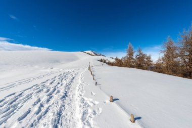 Lessinia Yüksek Platosu (Altopiano della Lessinia) Bölgesel Doğal Parkı, Malga San Giorgio, Verona ilinde kayak merkezi, Bosco Chiesanuova, Veneto, İtalya, Avrupa