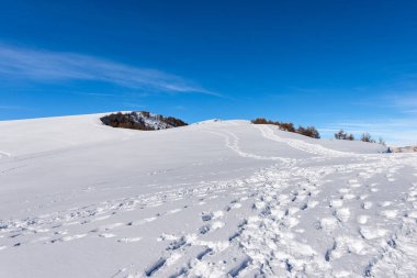 Kış manzarasında toz kar üzerinde birçok ayak izi. Lessinia Plateau (Altopiano della Lessinia), Malga San Giorgio yakınlarındaki Bölgesel Doğal Park, Veneto, İtalya, Avrupa 'da kayak merkezi..