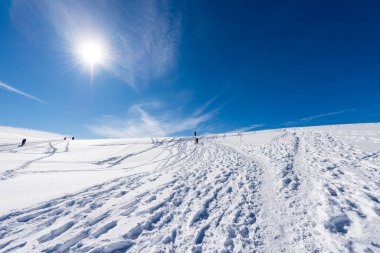 Bir grup yürüyüşçü ve Lessinia Yüksek Platosu 'ndaki (Altopiano della Lessinia) toz karda, Malga San Giorgio kayak merkezi yakınlarındaki Bölgesel Doğal Park, Verona Eyaleti, Veneto, İtalya, Avrupa.