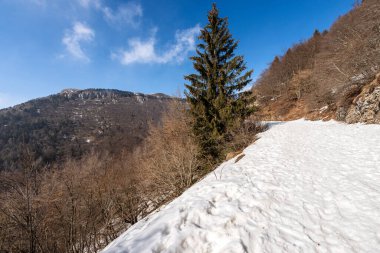 Kış mevsiminde Corno d 'Aquilio Dağı' nın zirvesi karla kaplı. Lessinia Plateau (Altopiano della Lessinia), Regional Natural Park, Sant 'Anna d' Alfaedo köyü, Verona ili, Veneto, İtalya, Avrupa.
