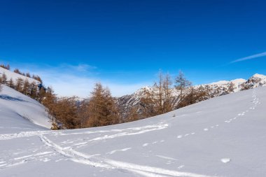 Kışın Lessinia Platosu 'ndan (Altopiano della Lessinia) Küçük Dolomiti (Piccole Dolomiti) olarak adlandırılan karla kaplı Monte Carega dağ sırası. Veneto ve Trentino Alto Adige, İtalya, Avrupa