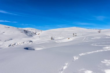Lessinia Platosu 'nun (Altopiano della Lessinia) Karlı Manzarası, Malga Gaibana ve Malga San Giorgio yakınlarındaki Bölgesel Doğal Park, kayak merkezi, Bosco Chiesanuova, Verona, Veneto, İtalya, Avrupa.