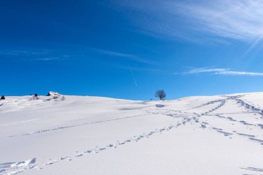 Kış manzarasında toz kar üzerinde ayak izleri. Lessinia Plateau (Altopiano della Lessinia), Malga San Giorgio yakınlarındaki Bölgesel Doğal Park, Veneto, İtalya, Avrupa 'da kayak merkezi..