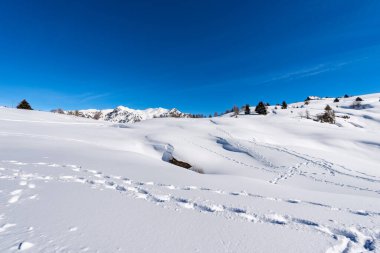 Lessinia Yüksek Platosu (Altopiano della Lessinia) ve Carega Dağı (Monte Carega) da kışın karla kaplı Küçük Dolomitler olarak adlandırılır. Veneto ve Trentino-Alto Adige, İtalya, Avrupa.