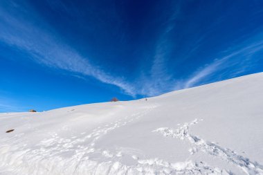 Kar ve eski mandıra çiftliği (Altopiano della Lessinia), Malga San Giorgio kayak merkezi yakınlarındaki Malga Gaibana, Verona Eyaleti, Veneto, İtalya, Avrupa.