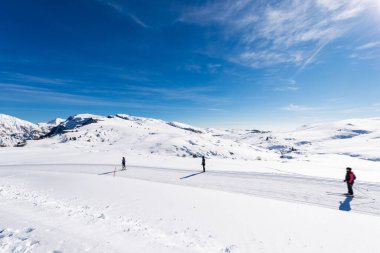 Lessinia Platosu 'nda üç kros kayakçısı, Malga San Giorgio kayak merkezi. Arka planda Monte Carega veya Small Dolomites 'in karlı zirveleri var. Bosco Chiesanuova, Verona, Veneto, İtalya, Avrupa.