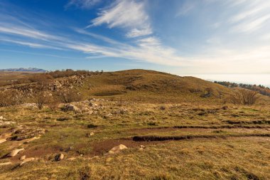 Kahverengi çayırlı sonbahar manzarası ve Lessinia Yüksek Platosu 'nda sonbaharda inekler için küçük bir göl. Monte Carega 'nın arka planında. Bölgesel Doğal Park, Verona, Veneto, İtalya, Avrupa.