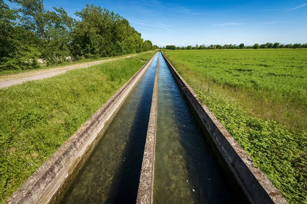 Two Small Concrete Irrigation Canals Countryside Padan Plain Valley Pianura — Stock Photo, Image