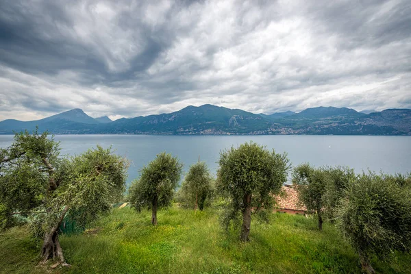 Lago Garda Vista Elevada Del Lago Garda Con Costa Lombardía — Foto de Stock