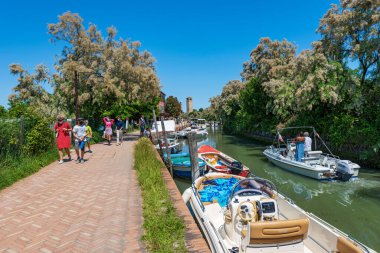TORCELLO, ITALY - JUNE 2, 2021: Torcello island in the Venetian lagoon, in the center the bell tower of the Basilica and Cathedral of Santa Maria Assunta in Venetian-Byzantine style, Venice, Italy.