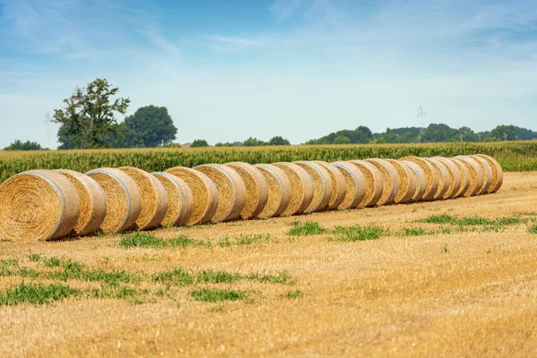 Grupo Fardos Feno Uma Fileira Dia Ensolarado Verão Com Campo — Fotografia de Stock