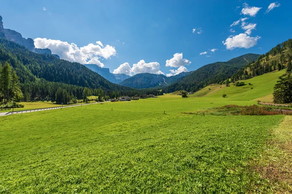 Зелені Луки Соснові Ліси Долині Брейз Або Прагс Val Braies — стокове фото