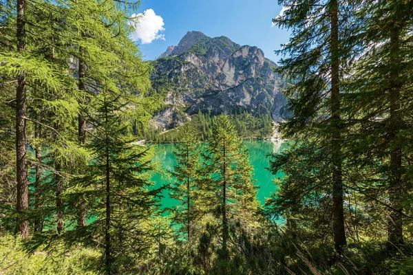 Lago Braies Pragser Wildsee Alpine Lake Mountain Peaks Small Great — стокове фото