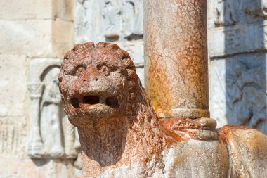 Basilica san zeno Verona - mermer aslan