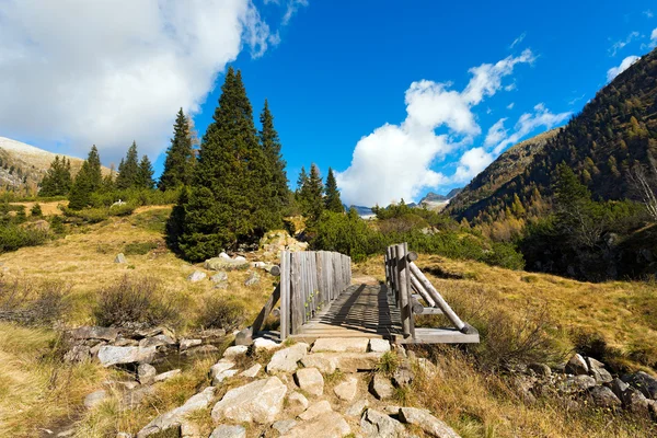 Ponte de madeira - Adamello Trento Itália — Fotografia de Stock