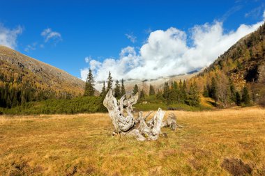 Val di Fumo - Adamello Trento İtalya