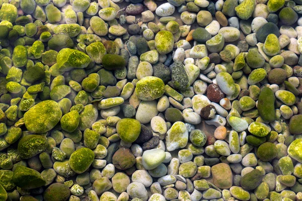 Pietre sott'acqua con muschio — Foto Stock