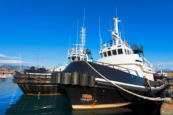 To Tugboat i havnen – stockfoto