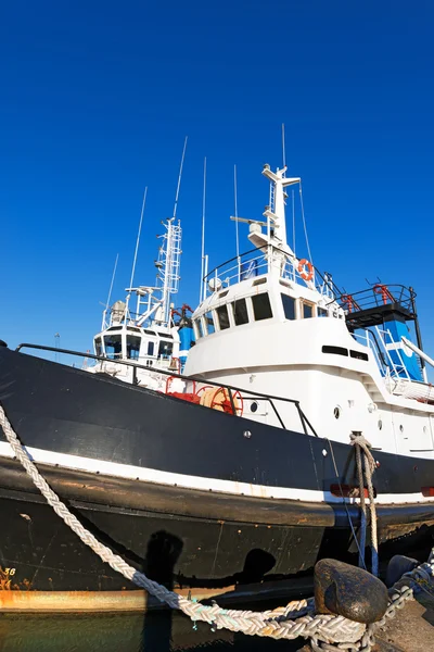 To Tugboat i havnen – stockfoto