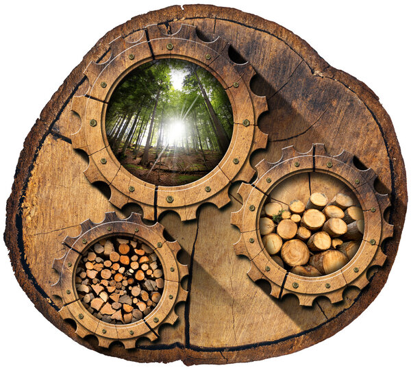 Lumber Industry - Gears on Tree Trunk