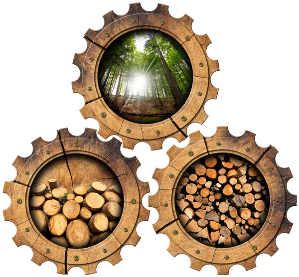 Fűrészáru az ipar - fa fogaskerekek — Stock Fotó