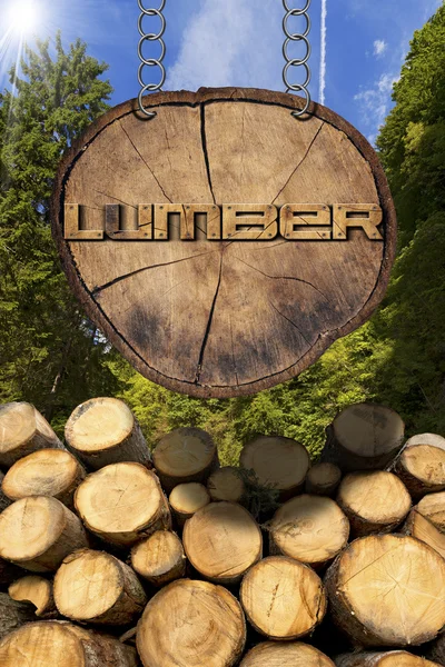 Troncos de madera con bosque y letrero de madera —  Fotos de Stock