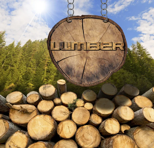 Holzstämme mit Wald- und Holzschild — Stockfoto