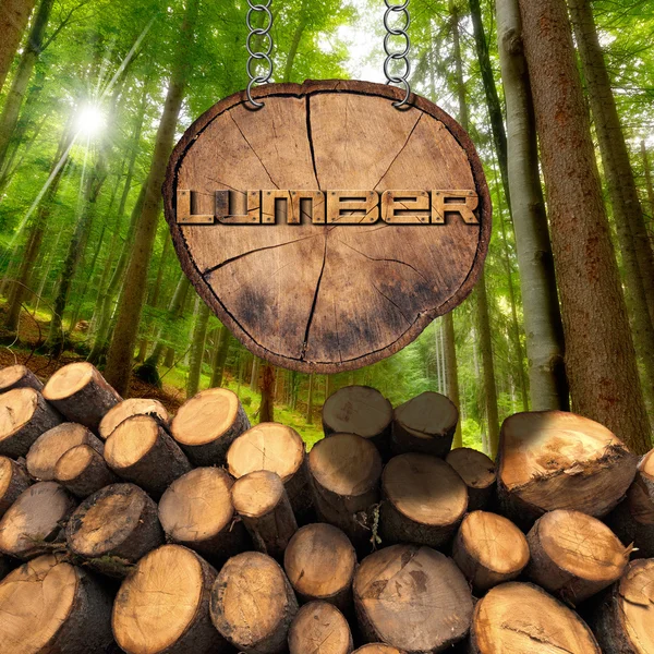 Holzstämme mit Wald- und Holzschild — Stockfoto