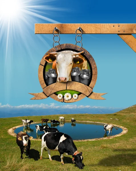 Prodotti lattiero-caseari segno con mucche al pascolo — Foto Stock