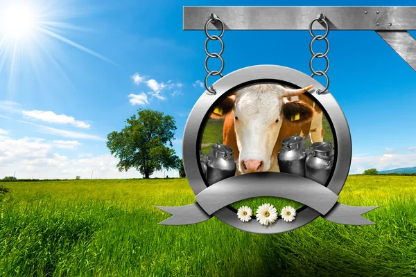 Süt ve süt ürünleri - Metal işareti kırsal kesimde — Stok fotoğraf
