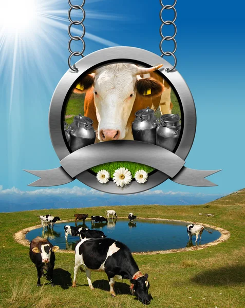 Dairy Products Sign with Grazing Cows — Stock Photo, Image