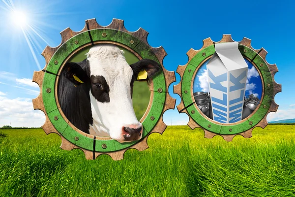 Industria láctea - Engranajes en el campo — Foto de Stock