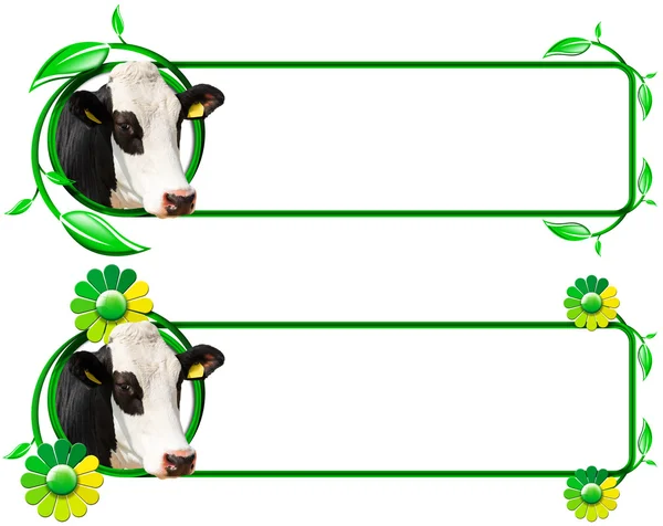 Dwa poziomy banery z głową krowy, zielone i żółte kwiaty z liści i miejsca na tekst. na białym tle — Stockfoto