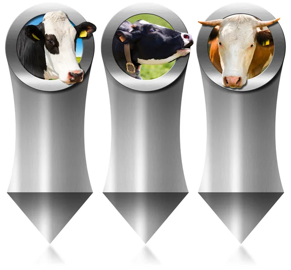 Three Metal Banners with Head of Cow — Stock Photo, Image