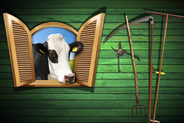 Jordbruk och djurhållning koncept med öppet fönster — Stockfoto