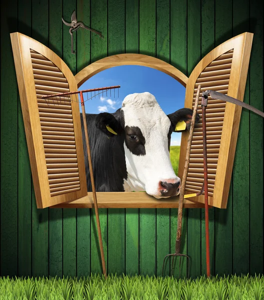 Concetto di agricoltura e allevamento con finestra aperta — Foto Stock