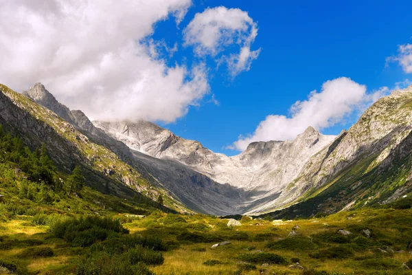 Val di Fumo - Adamello Trento — Foto Stock