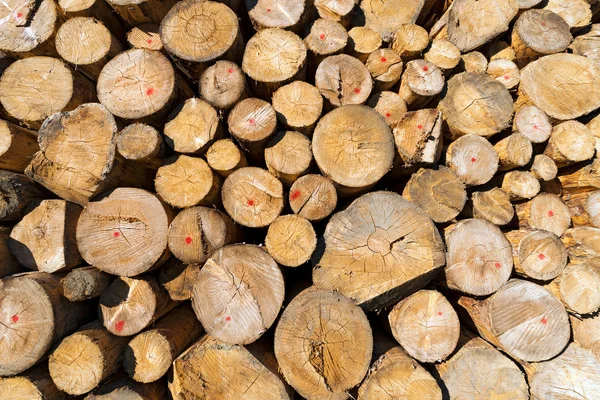 Houten logboeken van Pine gestapeld — Stockfoto