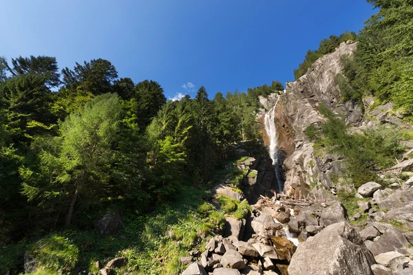 Şelale Regina del Lago - Adamello Trento İtalya