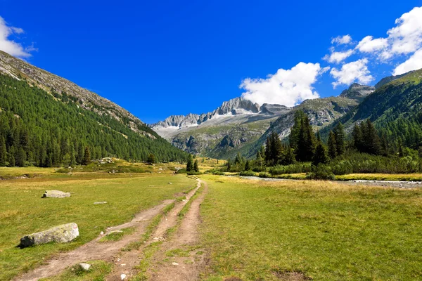 Cura Alto - Adamello Trento Italia — Foto Stock