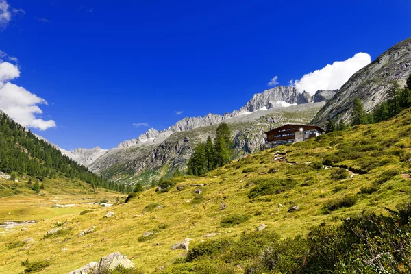 Cura Alto - Adamello Trento Italia — Foto Stock