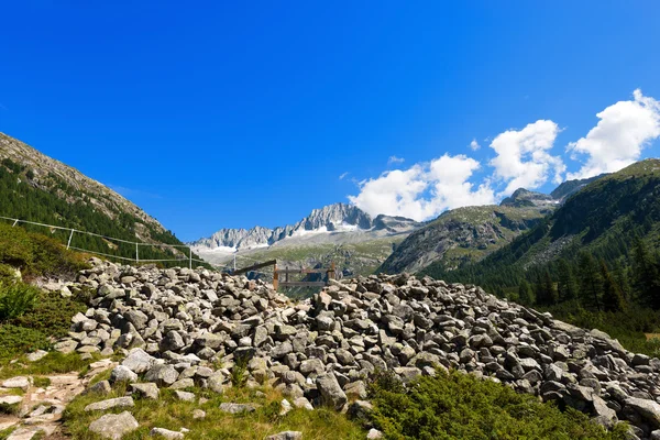 Cura Alto - Adamello Trento Italia — Foto Stock